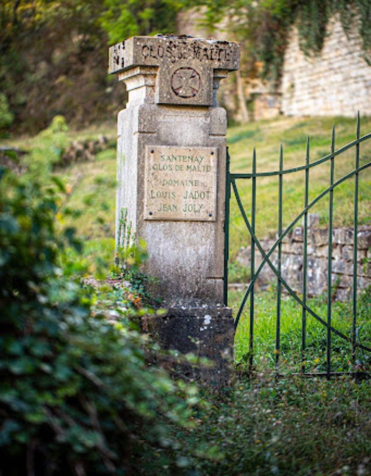 Domaine Louis Jadot, which was founded in 1859 now has 60 hectares of vineyards in Burgundy