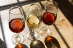 Photo for: From Old World to New Palates: Can Sherry Capture Today’s Drinkers?
