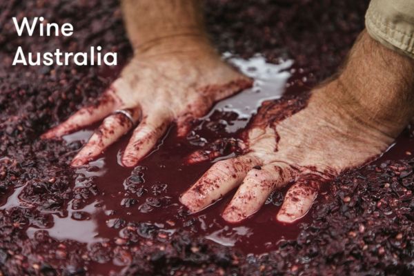 Photo for: In Conversation With Wine Australia’s UK & EMEA Regional Manager